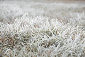 姆巴佩的速度与激情，谁能阻挡这位新王登基！