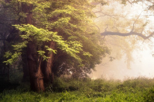 心跳加速！苏超联赛残酷赛程，谁将笑到最后